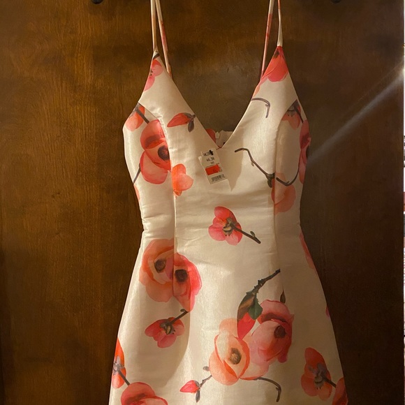 Passionfruit Mini Dress - Picture 4 of 4